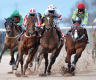 Horse Racing Terminology